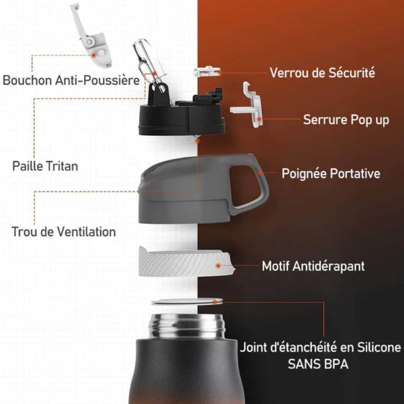 Adult Water Bottle with Straw