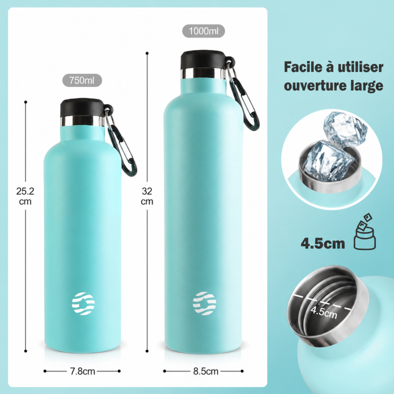 Insulated Stainless Steel Bottle